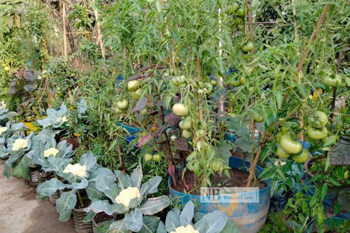 ছাদ বাগান করার পদ্ধতি ও পরিচর্যা